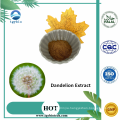 Herbal Extract 3% Flavone Dandelion Root Extract Powder